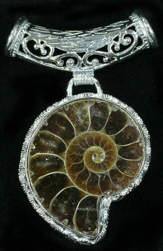 Fossil Ammonite Pendant - Million Years Old #8081